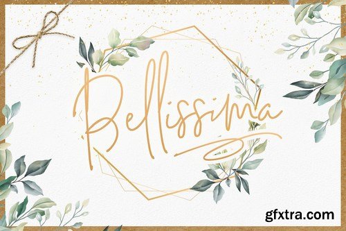 CM - Bellissima Signature Script Font 4117901