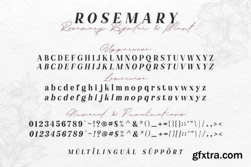 Rosemary Serif