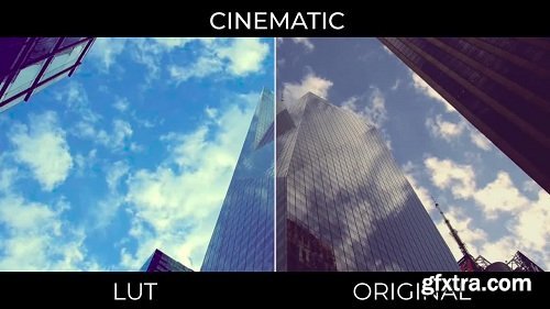 Cinematic LUTs for Adobe Premiere Pro (Win/MacOS)
