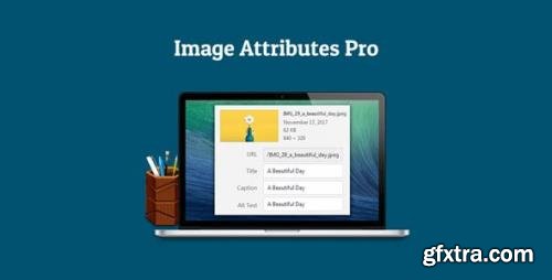 Auto Image Attributes Pro v1.3 - WordPress Plugin