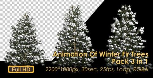 Udemy - Winter Fir Trees