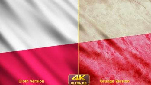 Udemy - Poland Flags