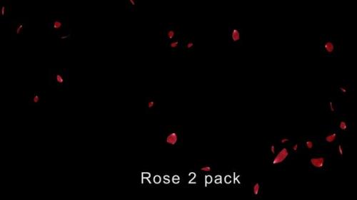 Udemy - Rose 2 Pack