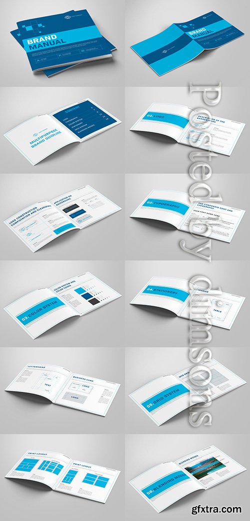 Brand Manual Layout with Blue Accents 236511237