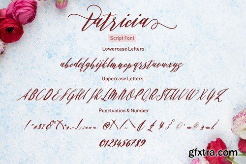 CM - Patricia Script 4133994