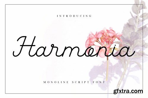 Harmonia Monoline Script Font