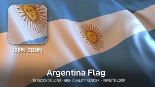 Udemy - Argentina Flag