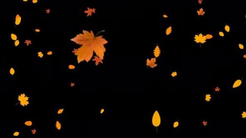 Udemy - Leaves Falling with Alpha