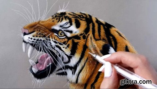 How to Draw a Tiger