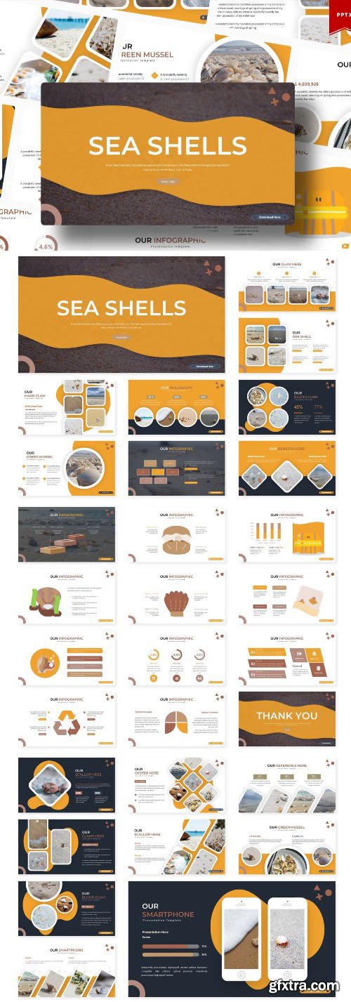 Sea Shells | Powerpoint Template