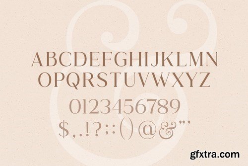 CM - Wild & Folk Serif Font 4136181