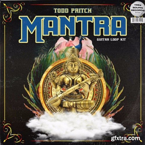 Todd Pritch Mantra Guitar Loop Kit WAV-DECiBEL