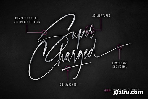 Checkpoint Signature Font Family