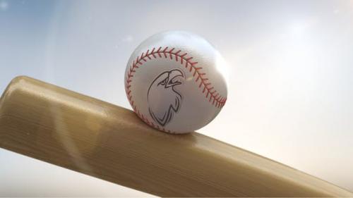 Udemy - Baseball Logo On Ball