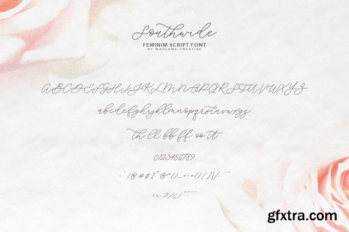 Southwide Calligraphy Font