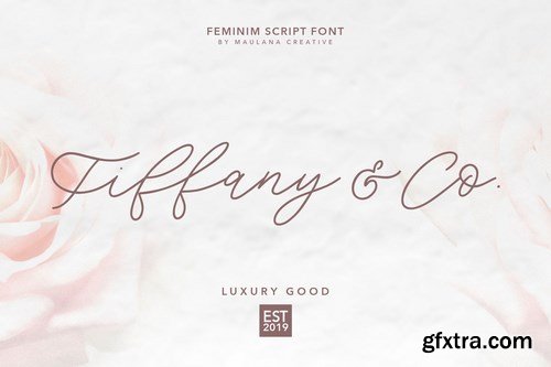 Southwide Calligraphy Font