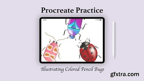 Procreate Practice Illustrating Colored Pencil Bugs