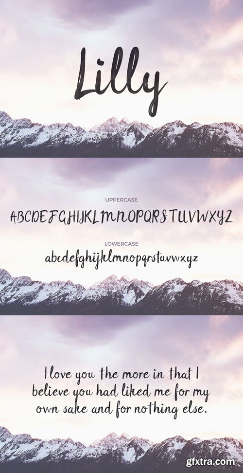 Lilly - Brush Script Font