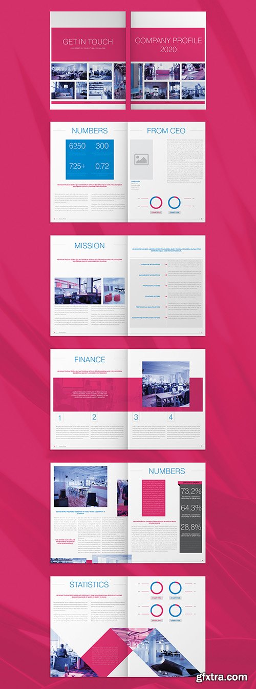 Company Profile Layout with Pink and Blue Accents 271661554