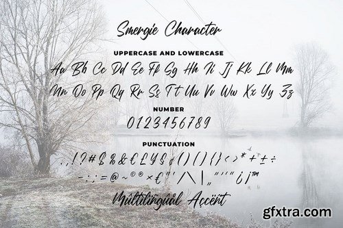 Smergie - Wild Brush Typeface