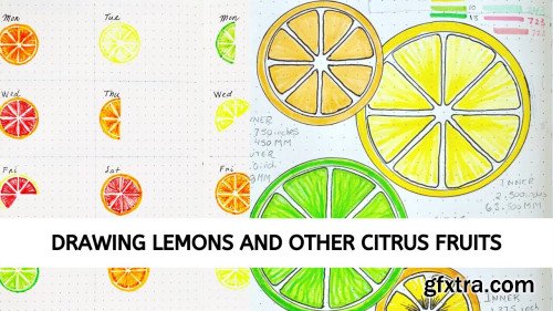 Drawing Lemons and other Citrus Fruits for Bullet Journaling