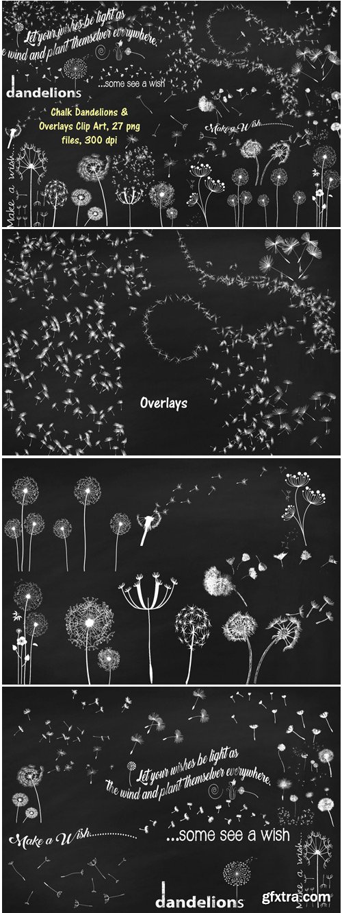 CM - Chalk Dandelions & Overlays Clip Art 1536151