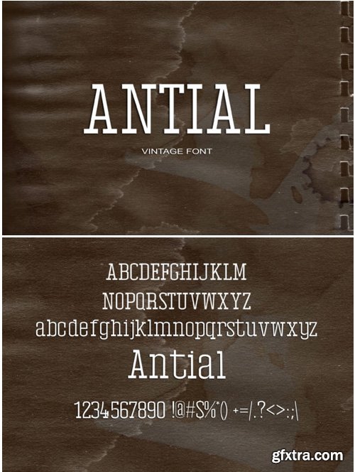 Antial Font