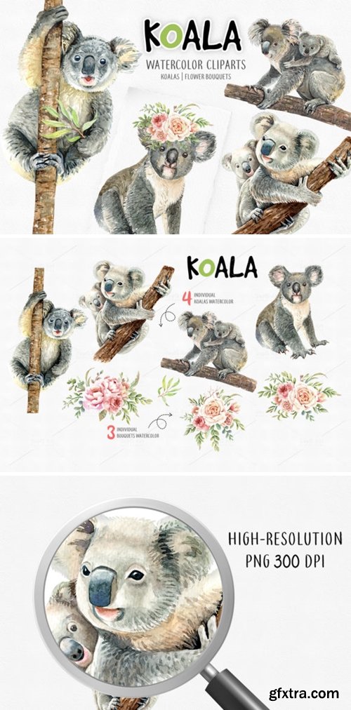 Koala Bear Animals Watercolor Cliparts 1816757