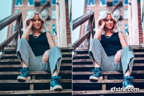 CreativeMarket - Flamingo Pro Lightroom Presets 4080521