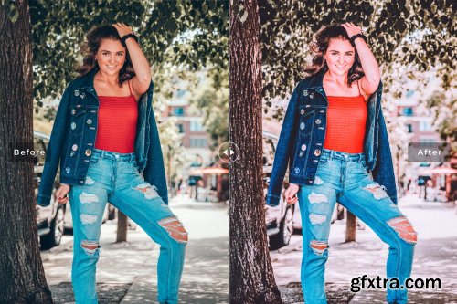 CreativeMarket - Flamingo Pro Lightroom Presets 4080521