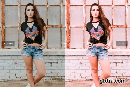 CreativeMarket - Flamingo Pro Lightroom Presets 4080521