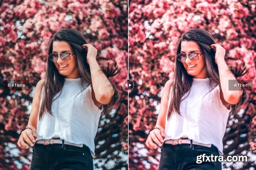 CreativeMarket - Flamingo Pro Lightroom Presets 4080521