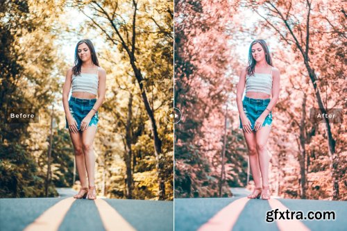 CreativeMarket - Flamingo Pro Lightroom Presets 4080521