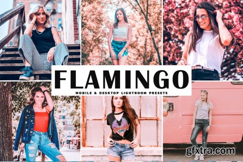 CreativeMarket - Flamingo Pro Lightroom Presets 4080521