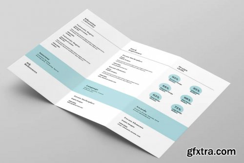 Clean Trifold Resume