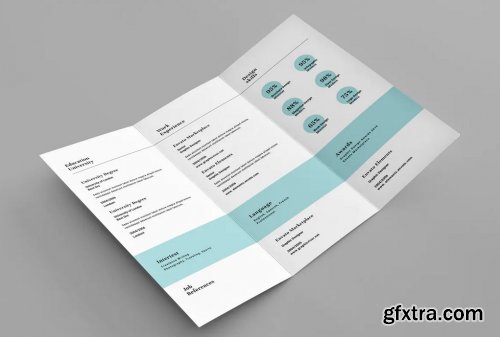 Clean Trifold Resume