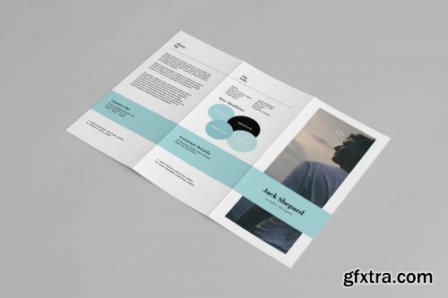 Clean Trifold Resume