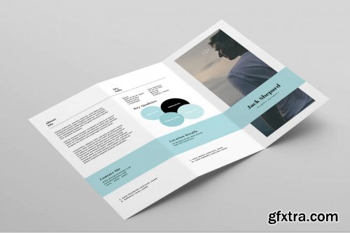 Clean Trifold Resume