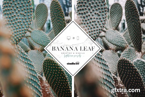 CreativeMarket - 3 Tropical-Botanical Presets 4057352