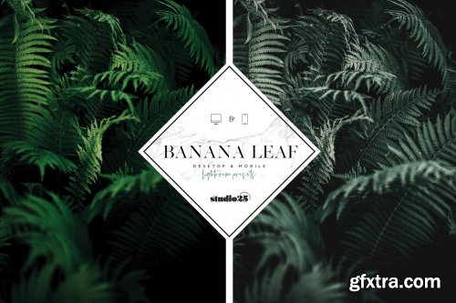 CreativeMarket - 3 Tropical-Botanical Presets 4057352