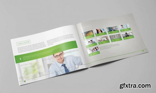 LIght Business Landscape Brochure