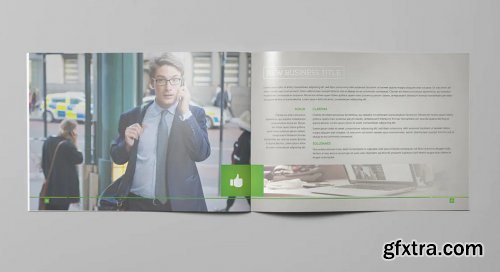 LIght Business Landscape Brochure