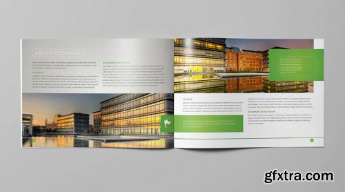 LIght Business Landscape Brochure