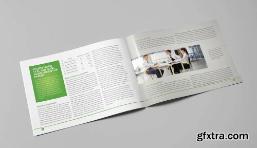 LIght Business Landscape Brochure