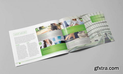 LIght Business Landscape Brochure