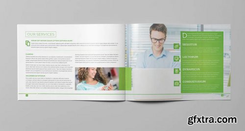 LIght Business Landscape Brochure