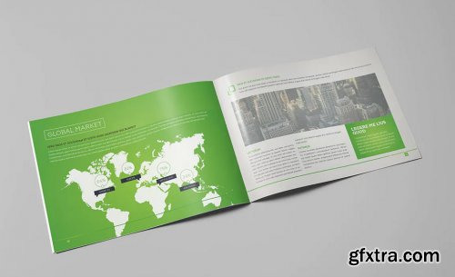 LIght Business Landscape Brochure