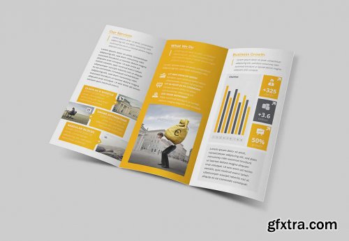 Business Trifold Brochure Vol 5