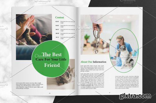 CreativeMarket - Veterinary Clinic Brochure V01 4062768