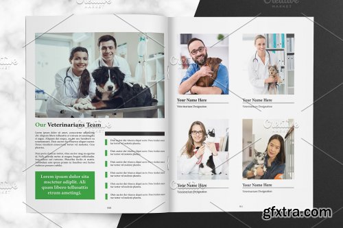 CreativeMarket - Veterinary Clinic Brochure V01 4062768